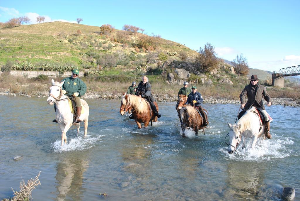 Willa Agriturismo Borgo San Nicolao Randazzo Zewnętrze zdjęcie